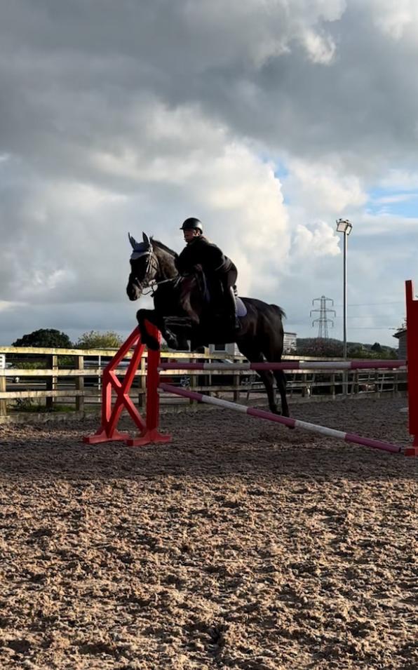 Floodlit indoor sand riding arena